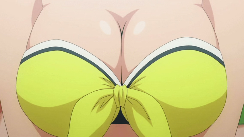 animated animated_gif bikini bouncing_breasts breasts cleavage large_breasts screencap siesta swimsuit zero_no_tsukaima