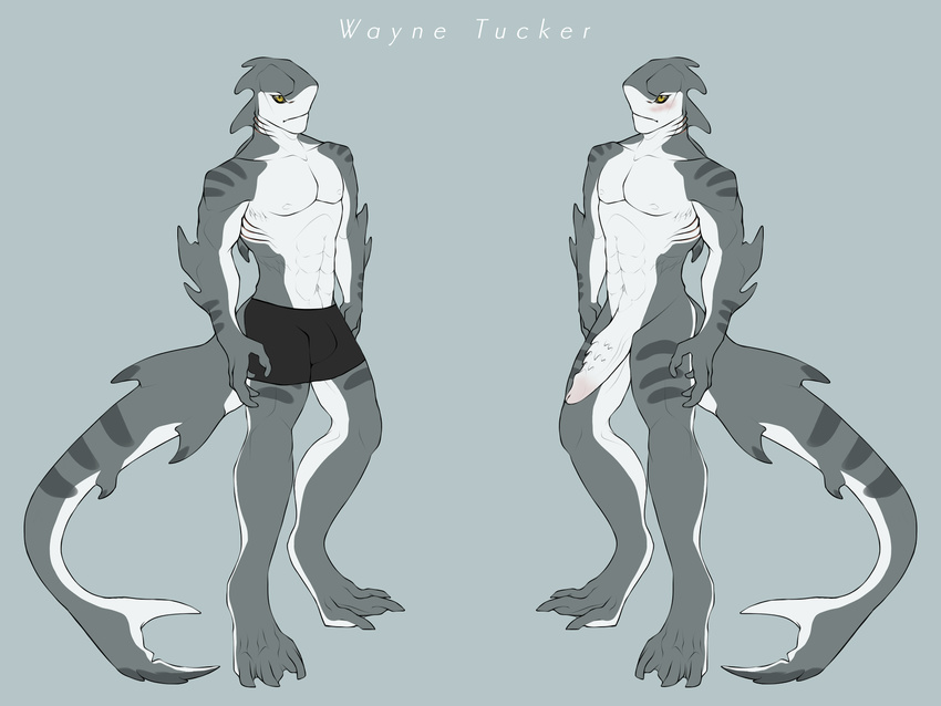 anthro blue_background blush bulge clothed clothing english_text erection fish hi_res looking_at_viewer male marine multiple_poses muscular muscular_male penis pose shark simple_background solo stripes text topless twistedaart wayne