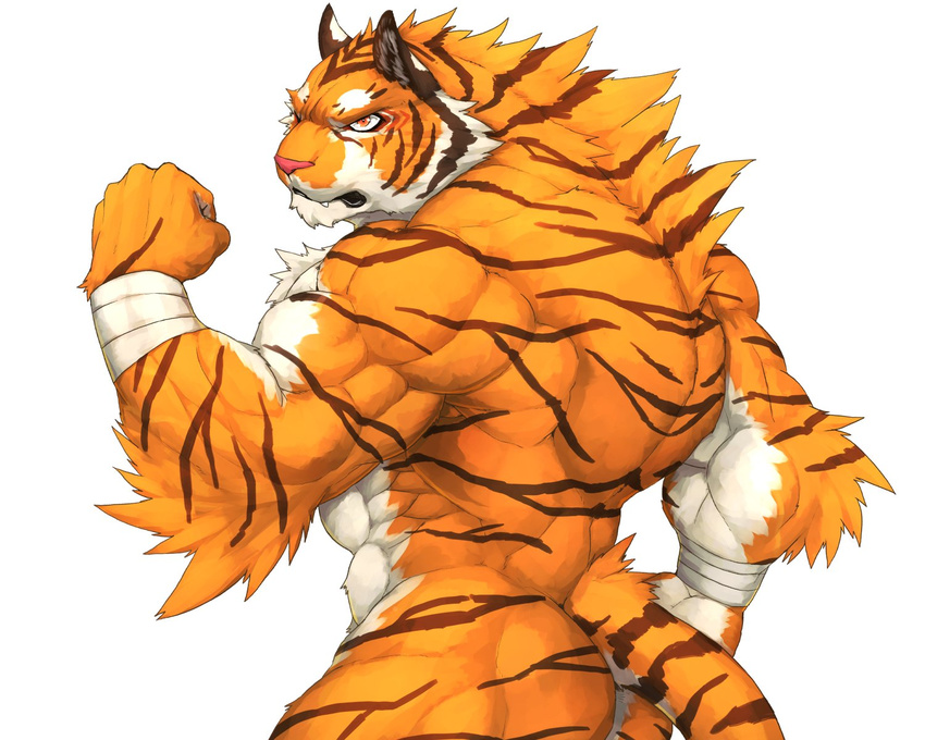 2017 abs anthro biceps big_muscles captainjohkid claws feline flakjacket0204 fur hi_res male mammal muscular simple_background solo tiger