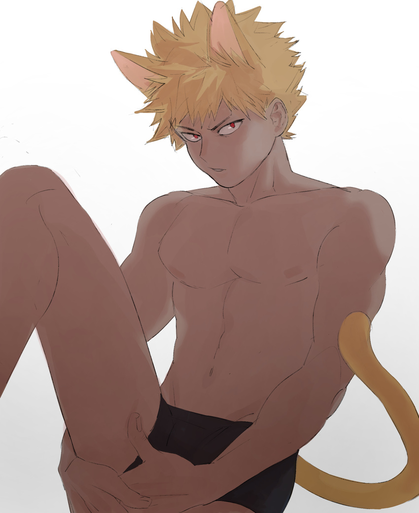 1boy animal_ears blonde_hair boku_no_hero_academia male_focus neonbur siting solo tail topless underwear