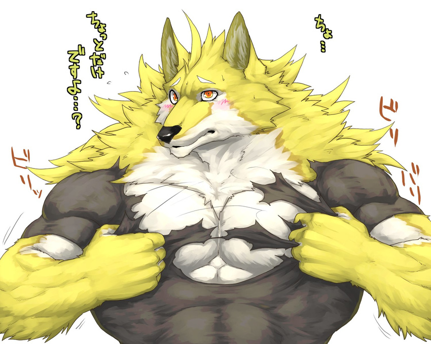 2017 anthro biceps big_muscles black_nose canine captainjohkid claws clothed clothing flakjacket0204 fur hi_res male mammal muscular pecs shirt simple_background white_fur wolf yellow_eyes