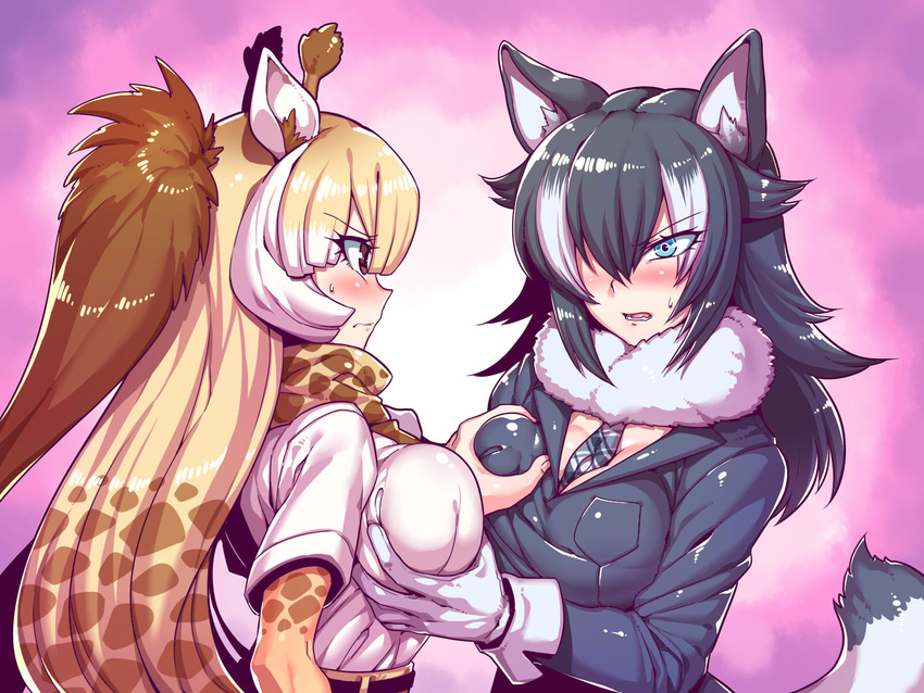 animal_ears between_breasts black_hair blonde_hair blue_eyes blush breast_grab breasts brown_eyes commentary_request fur_collar giraffe_ears giraffe_horns giraffe_print grabbing grey_wolf_(kemono_friends) hair_over_one_eye highres kemono_friends long_hair long_sleeves multicolored_hair multiple_girls necktie necktie_between_breasts reticulated_giraffe_(kemono_friends) shirt tsuki_wani white_hair white_shirt wolf_ears yuri