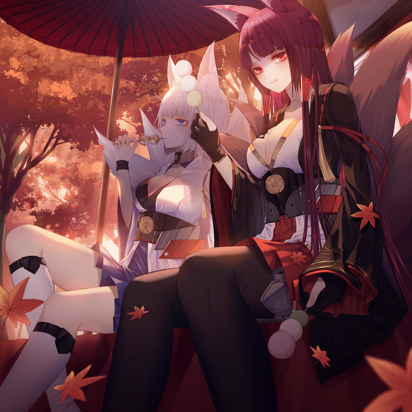 akagi_(azur_lane) animal_ears autumn autumn_leaves azur_lane bangs black_legwear blue_eyes blunt_bangs breasts cecil86 cleavage collarbone dango eyebrows_visible_through_hair food fox_ears fox_girl fox_tail highres holding japanese_clothes kaga_(azur_lane) large_breasts long_hair long_sleeves looking_at_viewer multiple_girls multiple_tails obi red_eyes sash short_hair sitting tail tree wagashi white_hair wide_sleeves