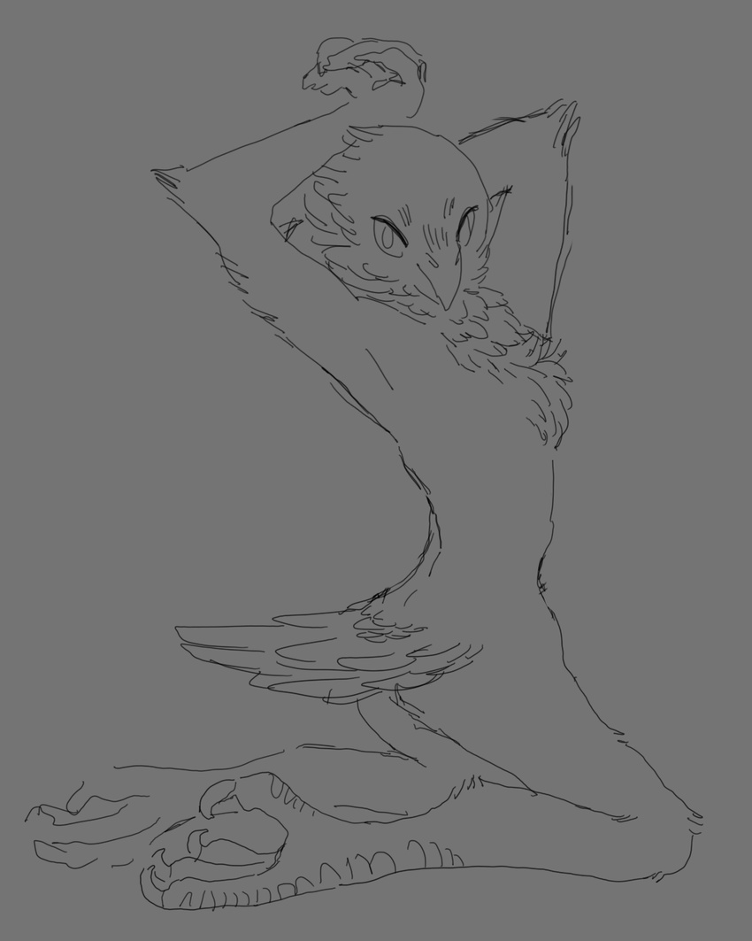 2017 ambiguous_gender amphoera anthro avian beak feathers nude raised_arm simple_background sketch solo stretching talons tuft