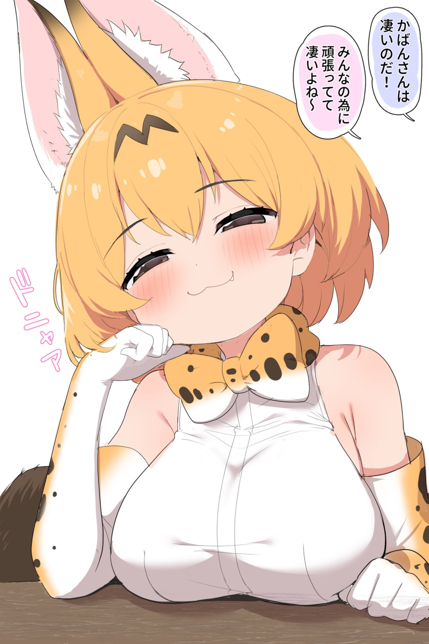 1girl :3 animal_ears black_hair blonde_hair blush bow bowtie breasts closed_mouth commentary doyagao elbow_gloves extra_ears gloves highres huge_breasts kemono_friends looking_at_viewer open_mouth print_bow print_bowtie ransusan serval_(kemono_friends) serval_print shirt short_hair simple_background sleeveless sleeveless_shirt smile smirk smug solo tail translated white_background