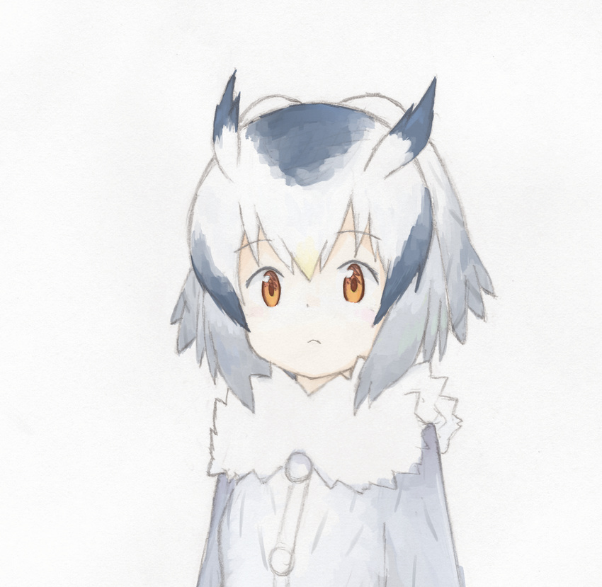 black_hair blonde_hair fur_collar grey_background grey_coat head_wings highres kemono_friends long_sleeves looking_at_viewer multicolored_hair northern_white-faced_owl_(kemono_friends) simple_background solo traditional_media uepon_(shimo_ponzu) upper_body white_hair yellow_eyes
