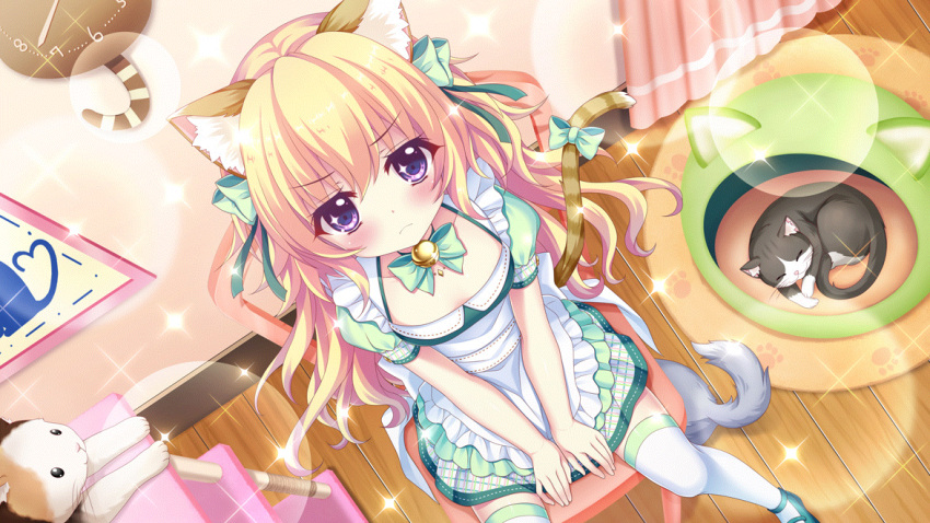 &gt;:( 1girl analog_clock animal_ears apron bell blonde_hair blush bow bowtie cat cat_ears cat_girl cat_tail choker clock closed_mouth curled_up dot_nose dress fake_animal_ears fake_tail film_grain from_above frown game_cg green_bow green_bowtie green_choker green_dress green_footwear grey_cat hasegawa_mii indoors izumi_tsubasu jingle_bell lens_flare long_hair looking_at_viewer looking_up neck_bell non-web_source official_art on_chair paw_print paw_print_pattern picture_frame pink_curtains purple_eyes re:stage! shoes sitting skirt skirt_tug solo sparkle sparkling_eyes tail thighhighs v-shaped_eyebrows wall_clock white_apron white_cat white_thighhighs wooden_floor