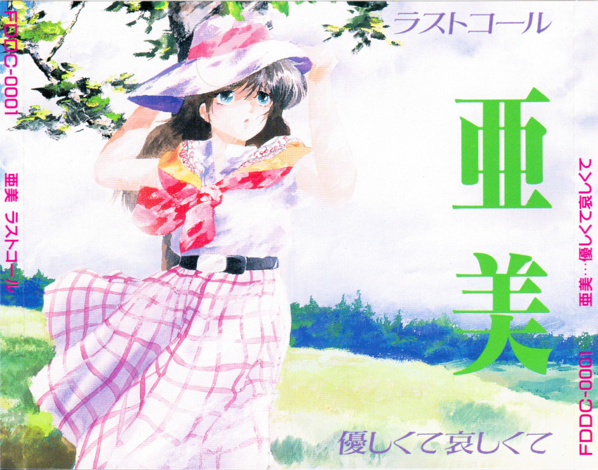 1980s_(style) 1girl artist_request belt blue_eyes character_request cream_lemon grass hat highres long_skirt non-web_source official_art outdoors retro_artstyle scan shawl skirt sky solo sun_hat traditional_media tree wind