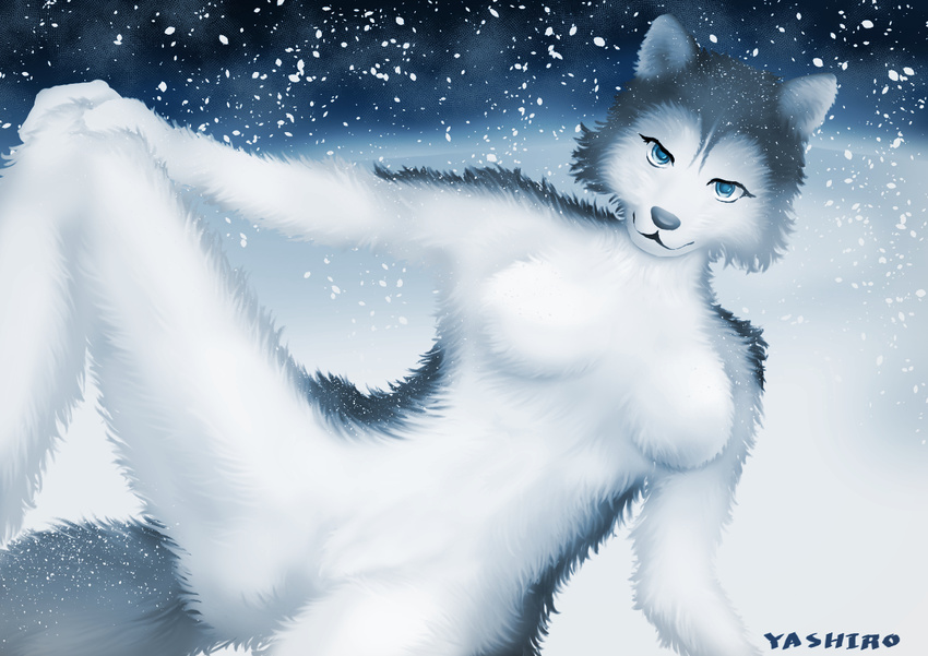 1girl artist_request blue_eyes breasts furry snow solo wolf