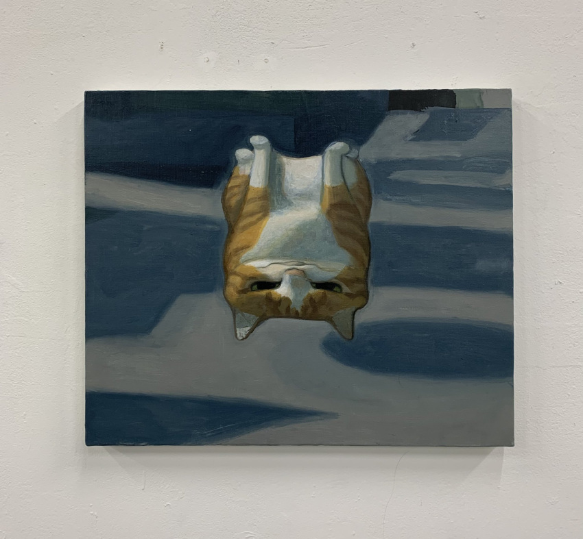 animal animal_focus cat closed_mouth full_body highres karin_hosono looking_at_viewer no_humans original painting_(medium) realistic sitting traditional_media upside-down
