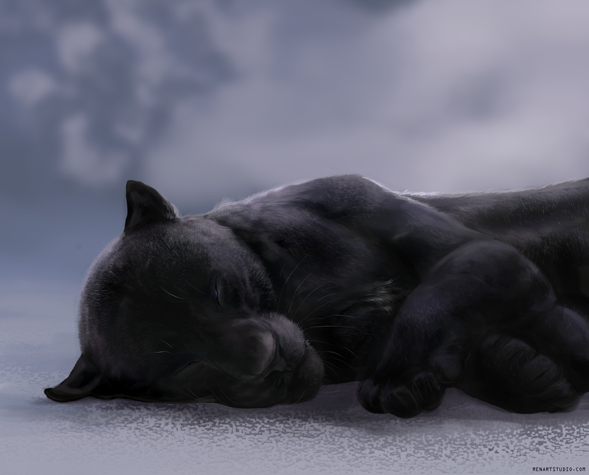 black_fur feline feral fur lying mammal panther pherigo sleeping