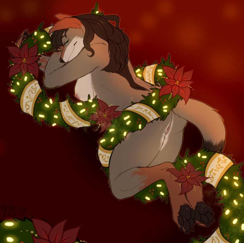 anthro bedroom_eyes black_pawpads breasts brown_hair canine christmas coyote female garland hair half-closed_eyes holidays long_hair mammal nipples nude pawpads pig_(artist) poinsettia pussy seductive side_boob smile solo