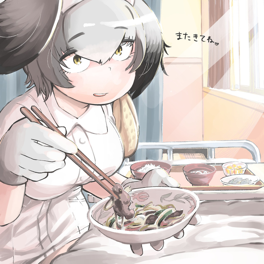 :d bed bowl breasts chopsticks commentary_request curtains eyebrows_visible_through_hair feeding food gloves gradient_hair grey_hair hair_between_eyes hare_(tetterutei) head_wings highres holding holding_bowl hospital hospital_bed indoors kemono_friends large_breasts light_rays looking_at_viewer multicolored_hair nurse open_mouth parted_lips pov_feeding privacy_screen rice round_teeth sanpaku shoebill_(kemono_friends) short_hair silver_hair smile solo teeth translation_request tray white_gloves window wing_collar yellow_eyes