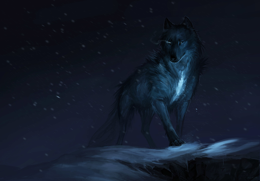 allagar ambiguous_gender black_fur canine countershading dark_theme detailed_background feral front_view fur glowing glowing_eyes looking_at_viewer mammal markings night outside sky snow snowing solo standing star white_countershading white_markings wolf
