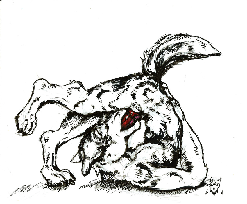 autofellatio canine cbrn_hyena erection flexible fur male mammal masturbation oral simple_background tongue traditional_media_(artwork) white_background