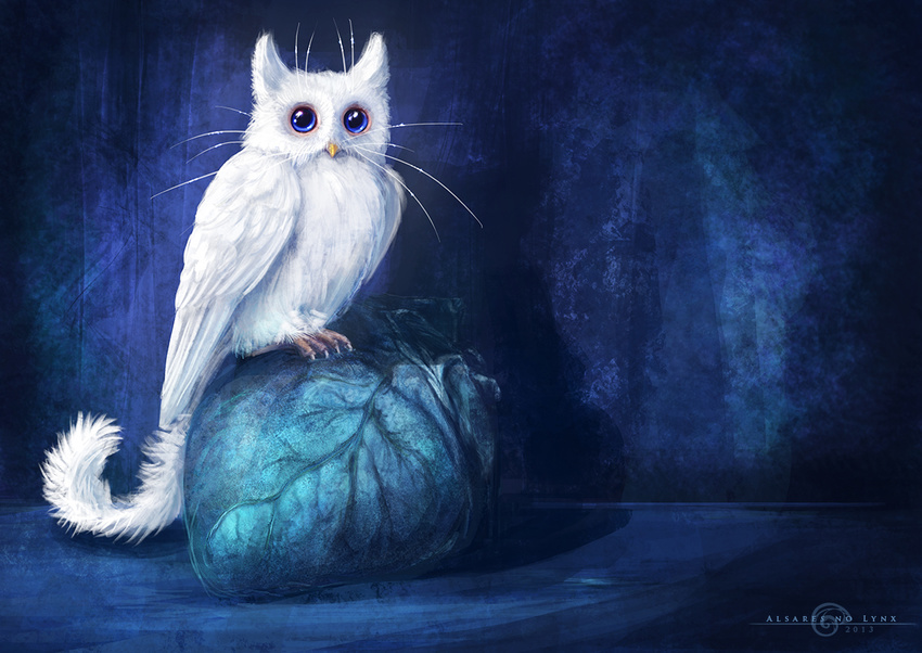 alsares ambiguous_gender avian beak bird blue_eyes blue_theme cabbage cat detailed_background feathered_wings feathers feline feral fur hybrid inside looking_at_viewer mammal owl solo whiskers white_feathers white_fur wings yellow_beak