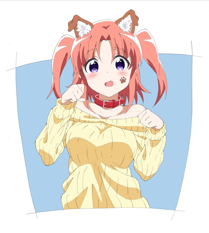 animal_ears bangs blush breasts collar collarbone commentary_request dog_collar dog_ears eyebrows_visible_through_hair fang highres looking_at_viewer medium_breasts mikakunin_de_shinkoukei open_mouth parted_bangs paw_pose paw_print pink_hair purple_eyes ribbed_sweater short_twintails solo sweater twintails two_side_up yadorigi yonomori_kobeni