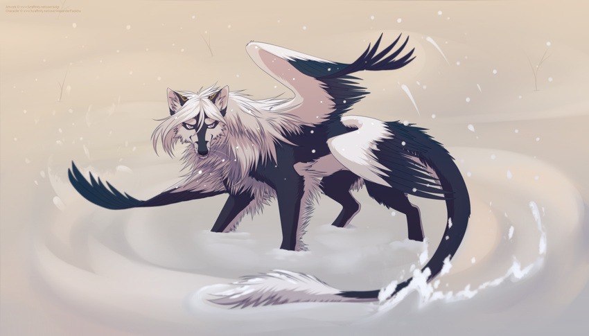 2016 4_wings ambiguous_gender black_fur black_nose canine feral fur hair hair_tuft hi_res hybrid looking_aside mammal multi_wing multicolored_fur purple_eyes sidgi silver_eyes simple_background snow snowing solo standing two_tone_fur whiskers white_background white_fur white_hair wings wolf