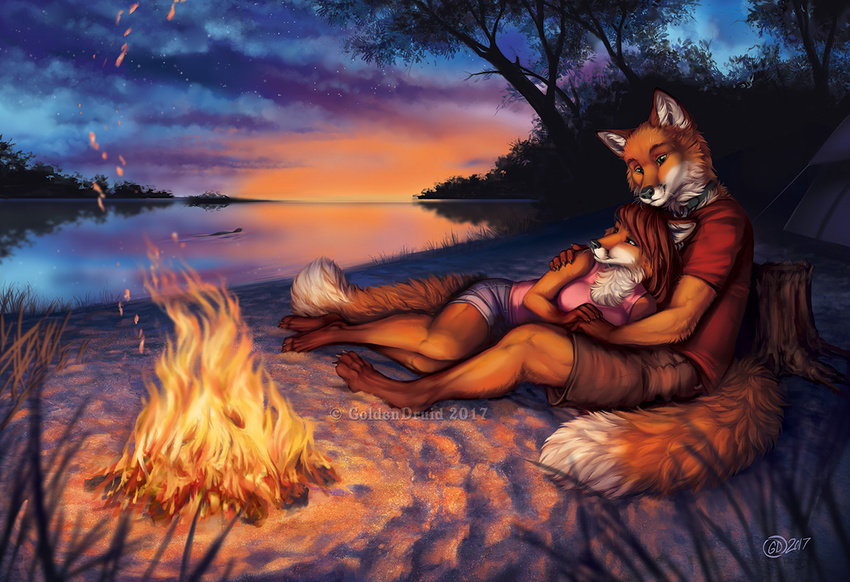 2017 anthro barefoot beach black_nose breasts brown_hair campfire canine clothed clothing collar cuddling detailed_background digital_media_(artwork) digitigrade duo female fire fluffy fox goldendruid green_eyes hair male mammal outside red_hair seaside shirt shorts sky smile star starry_sky t-shirt