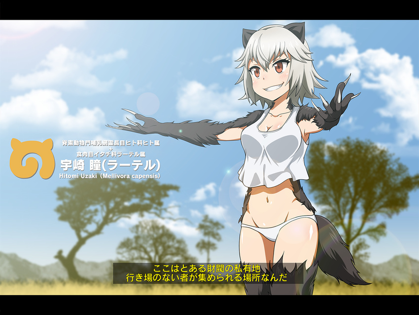 animal_ears badger_ears badger_tail blush breasts brown_eyes character_name claws cleavage cloud collarbone commentary_request day fur grey_hair grin groin hair_between_eyes japari_symbol kemono_friends killing_bites lens_flare letterboxed medium_breasts navel outdoors outstretched_arms panties parody partially_translated savannah scientific_name sky smile solo spread_arms standing tail tank_top tom_(drpow) translation_request tree underwear uzaki_hitomi v-shaped_eyebrows white_panties white_tank_top