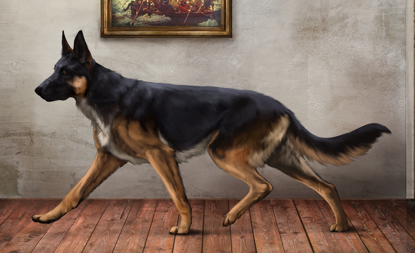 2016 black_fur black_nose brown_fur canine detailed_background digital_media_(artwork) digital_painting_(artwork) dog fur mammal paws pherigo solo standing