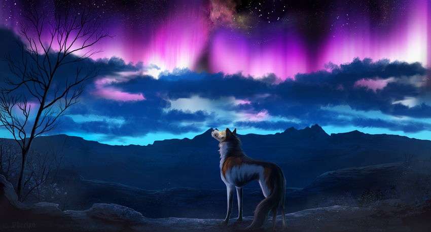 2017 abyssal_wolf ambiguous_gender detailed_background digital_media_(artwork) feral night outside paws pherigo sky solo standing star starry_sky tree