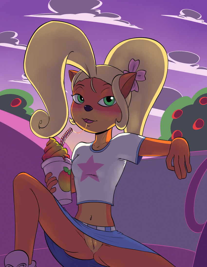bandicoot beverage blush breasts clothed clothing coco_bandicoot crash_bandicoot_(series) cute eyelashes female flower green_eyes hair long_hair mammal marsupial plant presenting pussy smile soulcentinel sunset video_games wompa_fruit