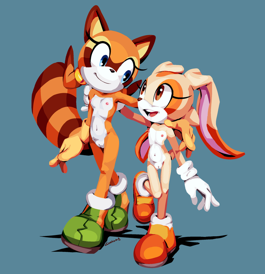 2018 anthro blue_eyes breasts clitoris clothing cream_the_rabbit duo female flat_chested footwear goshaag lagomorph mammal marine_the_raccoon navel nipples nude procyonid pussy rabbit raccoon shoes sonic_(series) young