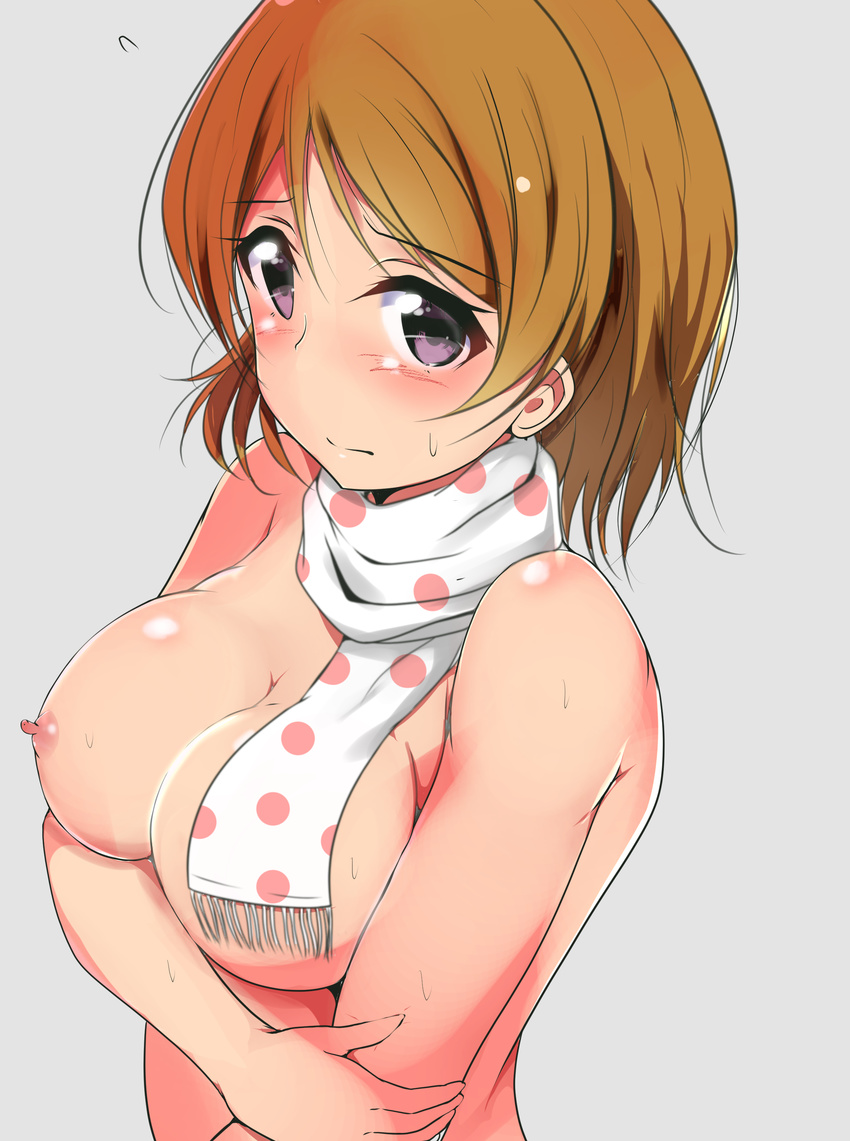 absurdres ankoiri blush breast_hold breasts brown_hair error flying_sweatdrops grey_background hand_on_own_arm highres koizumi_hanayo large_breasts looking_at_viewer love_live! love_live!_school_idol_project naked_scarf nipples nude polka_dot polka_dot_scarf purple_eyes scarf short_hair simple_background solo sweat sweatdrop