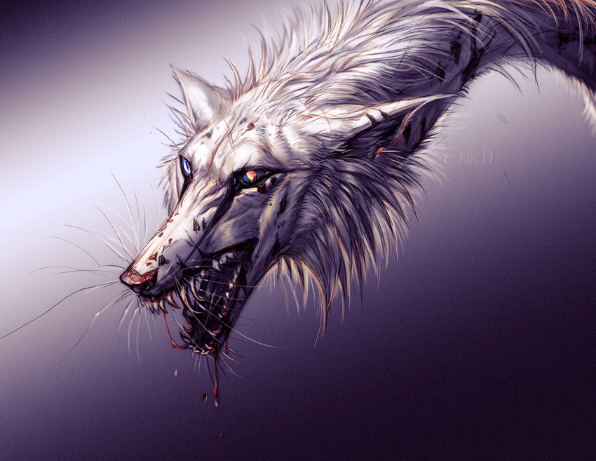 2017 blood blue_eyes detailed_background digital_media_(artwork) dragon fur open_mouth simple_background tatchit teeth tongue whiskers white_fur