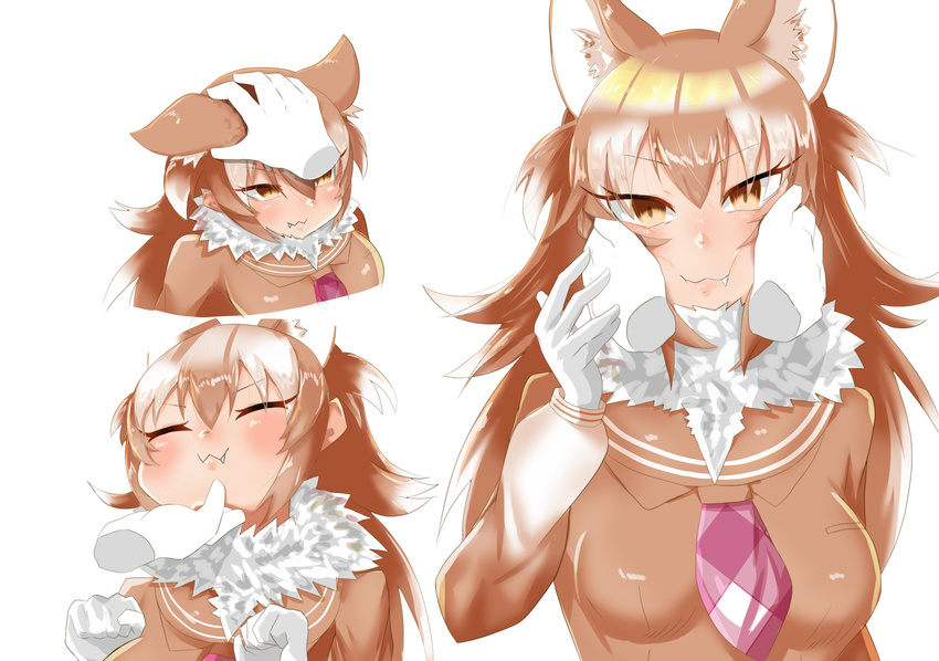 :3 absurdres animal_ears brown_eyes brown_hair cheek_squash chin_tickle closed_eyes disembodied_limb eyebrows_visible_through_hair eyes_visible_through_hair fang fang_out fur_collar gloves hair_between_eyes hands_on_another's_cheeks hands_on_another's_face highres japanese_wolf_(kemono_friends) kemono_friends long_hair looking_at_viewer multicolored_hair multiple_views necktie petting pink_neckwear shooki_(wadacchi_non) simple_background two-tone_hair white_background white_gloves white_hair wolf_ears wolf_girl