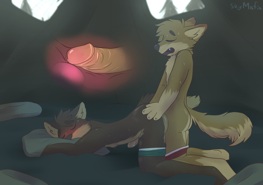 2018 anal anal_penetration anthro balls blush briefs brown_fur bryce_(lonewolfhowling) butt butt_grab camping canine clothing detailed_background digital_drawing_(artwork) digital_media_(artwork) dog duo erection forest fur hair hand_on_butt humanoid_penis internal male male/male mammal nude open_mouth penetration penis prostate prostate_stimulation raining sex skymafia spencer_(lonewolfhowling) sweat tent tongue tree uncut underwear wet