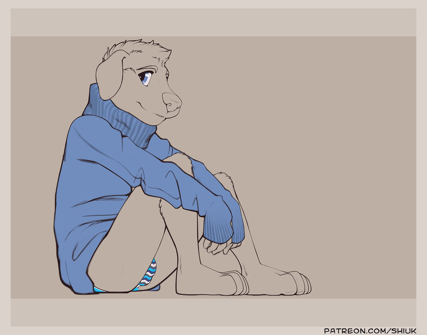 5_fingers anthro blue_eyes bottomless briefs canine clothed clothing cub dog line_art male mammal shiuk sitting solo sweater teenager underwear young
