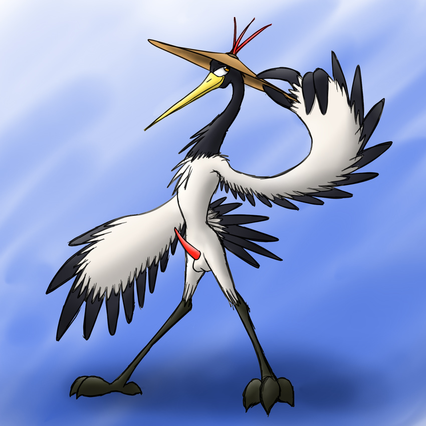 avian balls bassybird bassywolfeh beak bird crane dreamworks erection feathers feral hat hi_res kung_fu_panda male master_crane mostly_nude penis simple_background solo talons tapering_penis toes