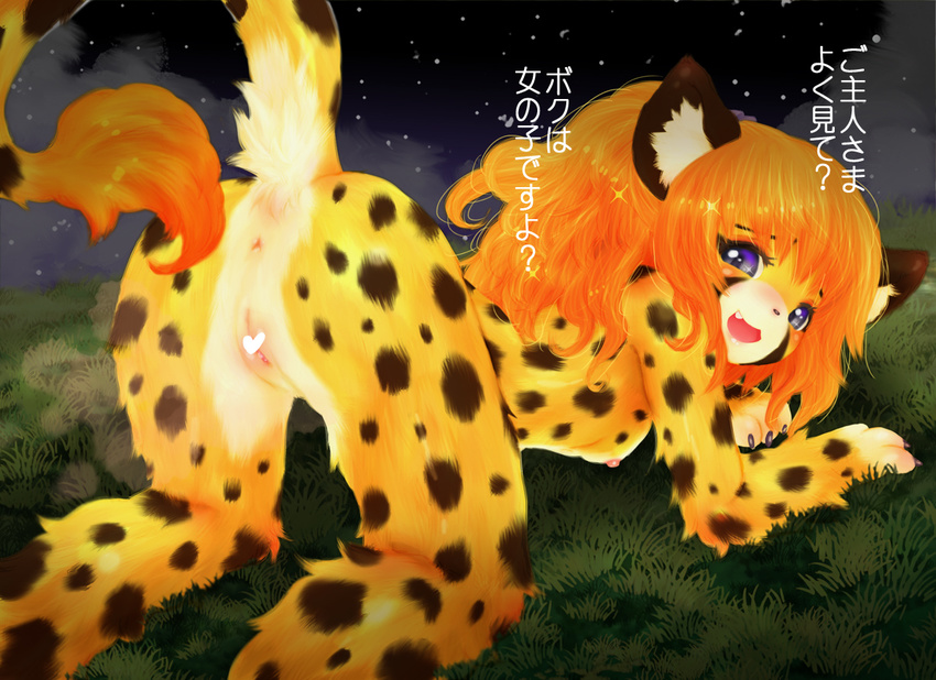 censored furry heart_censor japanese long_hair open_mouth orange_hair purple_eyes pussy tashiro_yuu tiger translatin_request