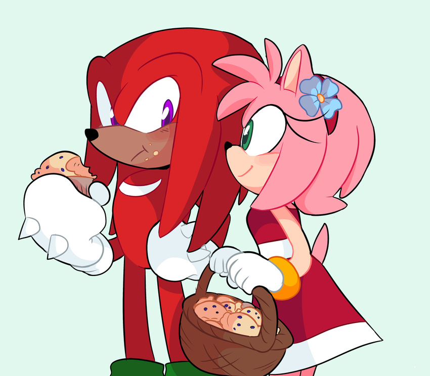 2018 absurd_res amy_rose anthro black_nose clothing duo echidna female flower flower_in_hair food gloves green_eyes hair hairband hedgehog hi_res knuckles_the_echidna male mammal monotreme pink_hair plant purple_eyes short_hair simple_background sonic_(series) sp-rings video_games