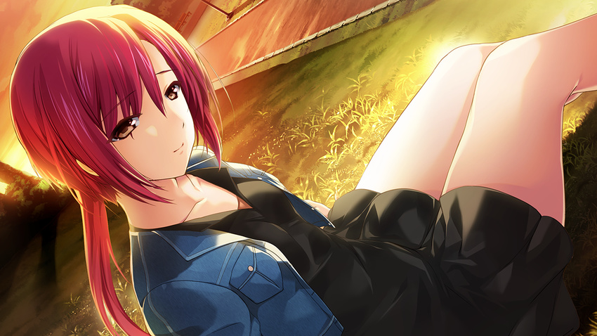 alice_soft brown_eyes choukou_shinki_ixseal dress game_cg grass houshou_kirika long_hair pink_hair ponytail tagme_(artist)