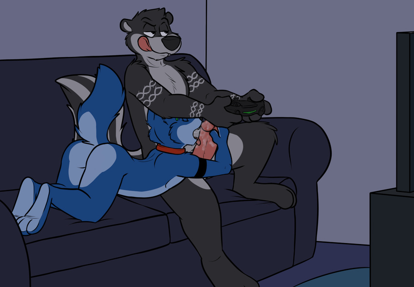 2016 anthro black_fur blue_fur butt canine collar controller deke digital_media_(artwork) dualshock_4 duo erection eyes_closed fellatio fur game_controller gaming grey_fur grin half-closed_eyes holding_controller holding_object humanoid_penis interspecies licking male male/male mammal markings multitasking nude open_mouth oral penis piercing playing_videogame playstation_4 raised_tail robbie rotten_robbie sex sitting skunk smile sofa toes tongue tongue_out video_games wolf