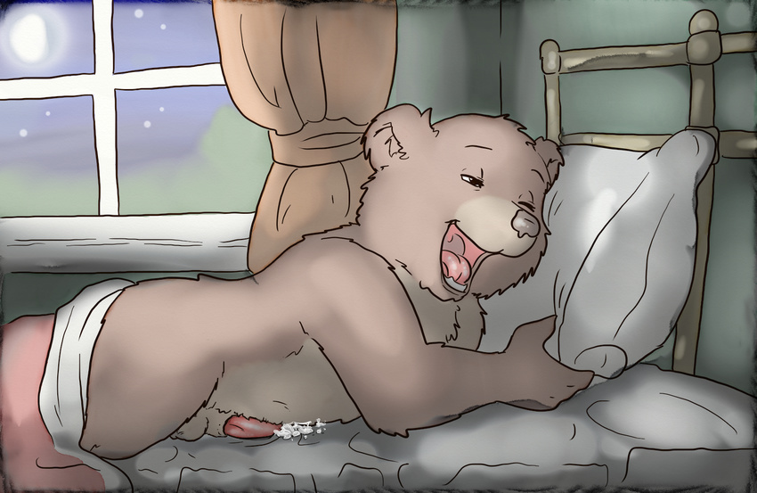 anthro balls bear bed brown_fur cub cum digital_media_(artwork) erection fur lavilovi little_bear little_bear_(character) male mammal nude open_mouth orgasm penis pillow sex tongue young