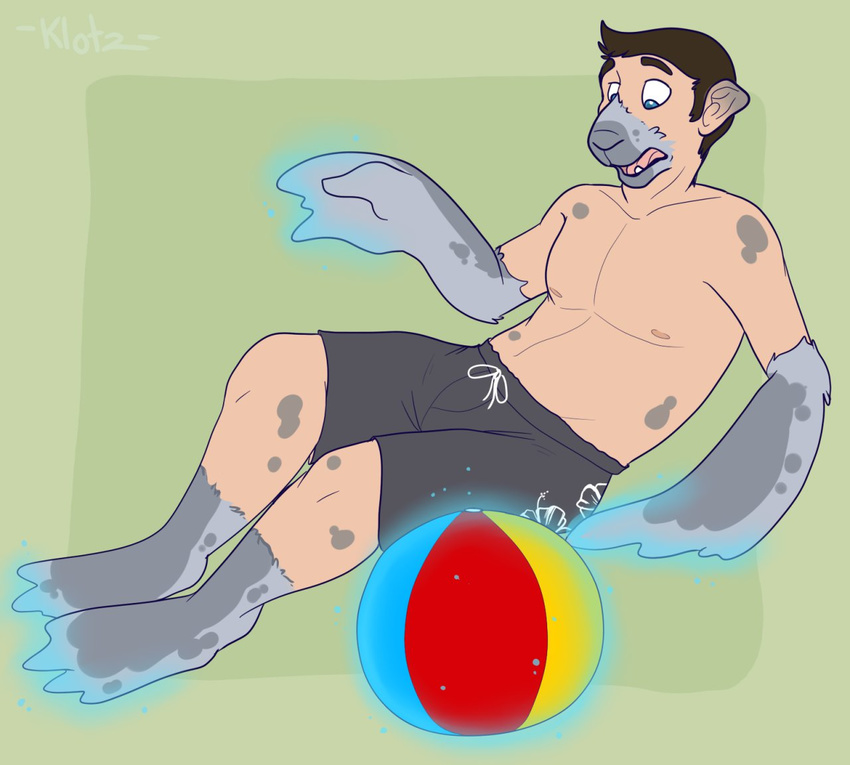 2013 anthro ball beach_ball blue_eyes clothed clothing cyrin digital_drawing_(artwork) digital_media_(artwork) hair human inflatable magic male mammal marine open_mouth pinniped seal shadowpelt short simple_background solo teeth topless transformation