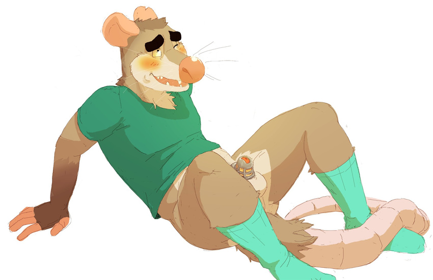 2017 5_fingers anthro balls biped blush chastity chastity_cage clothed clothing daire daire301 digital_drawing_(artwork) digital_media_(artwork) fur green_clothing green_shirt green_socks green_topwear hi_res legwear male mammal marsupial one_eye_closed open_mouth opossum penis shirt simple_background socks solo teeth white_background