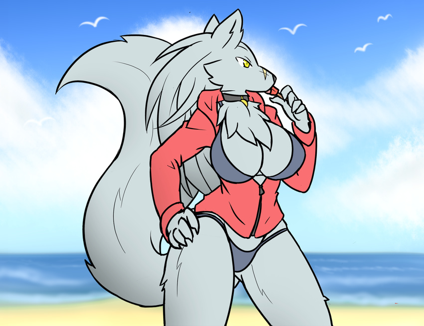 anthro avian beach big_breasts bikini bird breasts canine chest_tuft clothing collar female hoodie mammal muscular muscular_female outside rakkuguy scar seagull seaside solo swimsuit tuft velvela wolf yellow_eyes