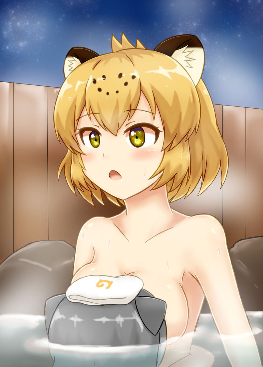 absurdres animal_ears bathing blonde_hair blush breasts collarbone commentary_request eyebrows_visible_through_hair highres hug jaguar_(kemono_friends) jaguar_ears japari_symbol kemono_friends medium_breasts multiple_girls night night_sky nude onsen open_mouth otter_ears outdoors partially_submerged shiraha_maru sideboob silver_hair sky small-clawed_otter_(kemono_friends) star_(sky) starry_sky steam towel towel_on_head upper_body waist_hug water wet yellow_eyes