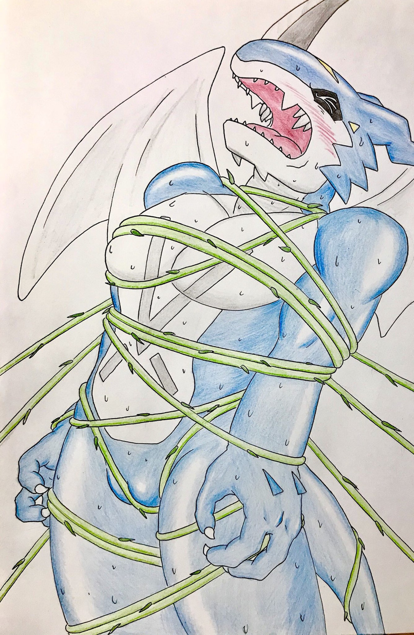 2018 anthro ballbusting blue_skin blush bound bulge cock_and_ball_torture digimon dragon exveemon eyes_closed hi_res horn male markings membranous_wings muscular muscular_male nude open_mouth pecs scalie solo sweat teeth tongue traditional_media_(artwork) vines wings zazpihuts