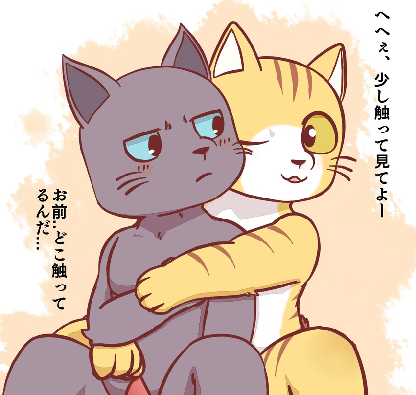 blush cat clothing erection feline hug kuehiko_roshihara male male/male mammal muscular penis tapio_chatarozawa working_buddies! ラーメン_(artist)