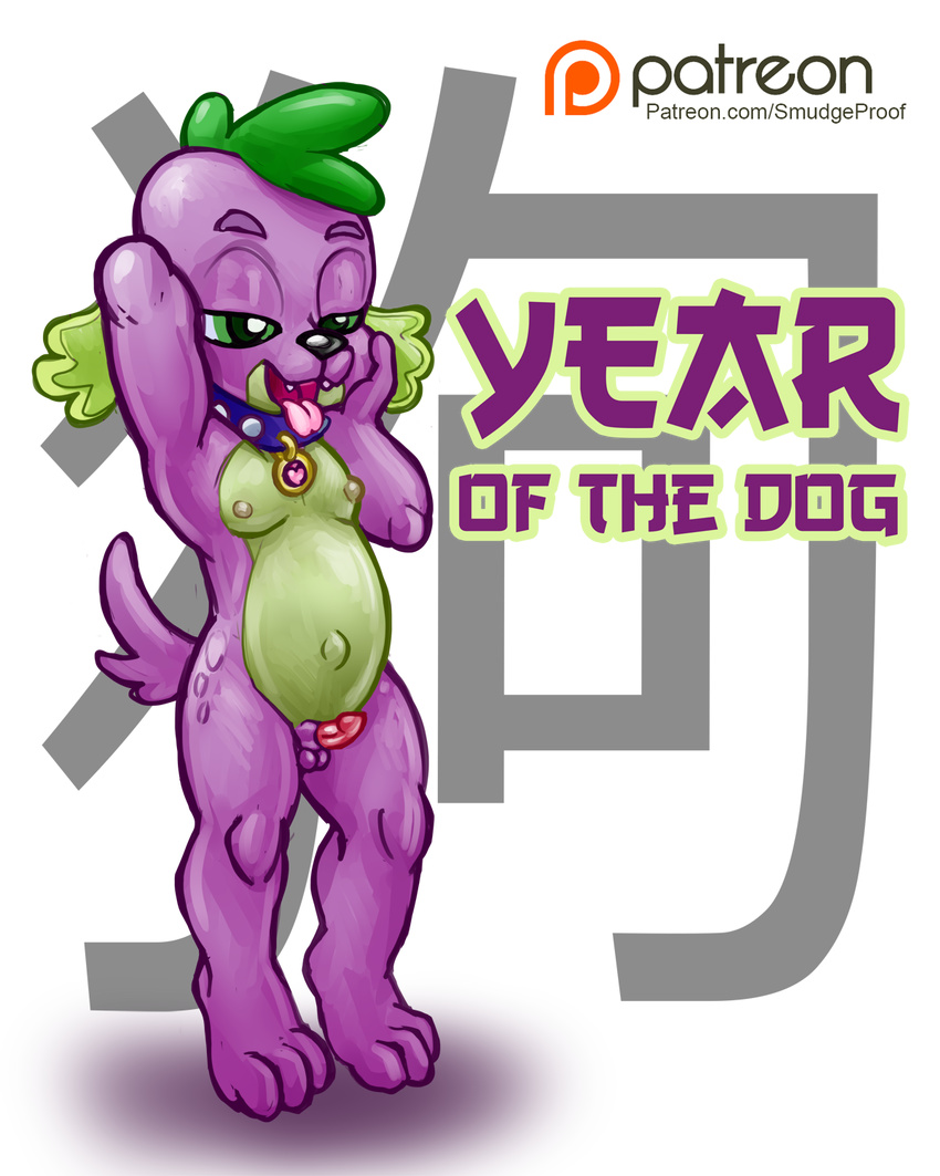 animal_genitalia balls canine chinese_new_year collar cub equestria_girls erection friendship_is_magic holidays knot looking_at_viewer male mammal my_little_pony navel new_year nipples outie patreon penis sheath sheathed sheathed_knot sketch slightly_chubby small_penis smudge_proof solo spike_(eg) year_of_the_dog young
