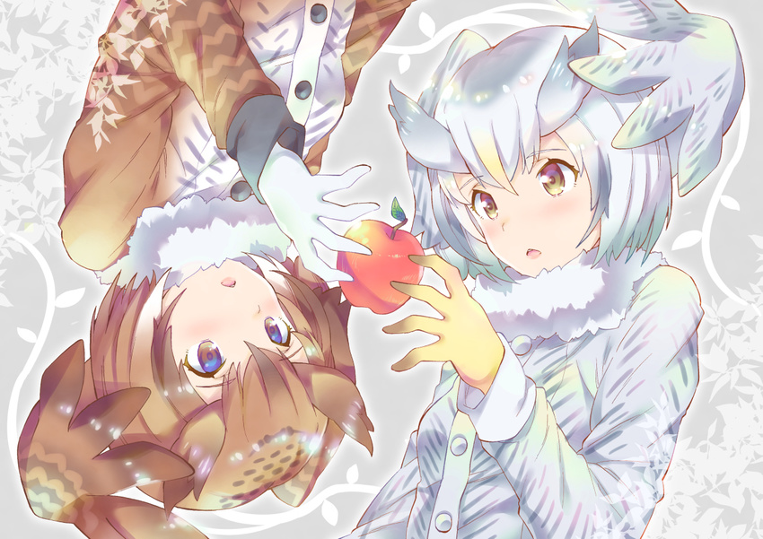 apple bangs brown_coat brown_eyes brown_hair coat eurasian_eagle_owl_(kemono_friends) eyebrows_visible_through_hair food fruit fur_collar gloves grey_coat head_wings kemono_friends long_sleeves looking_at_another multicolored_hair multiple_girls northern_white-faced_owl_(kemono_friends) parted_lips rotational_symmetry short_hair symmetry takano_itsuki upper_body upside-down white_gloves white_hair yellow_eyes yellow_gloves