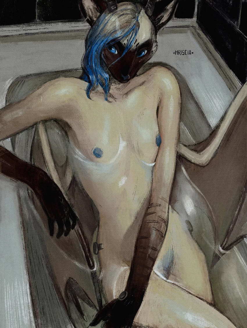 anthro bathing bathtub blue_eyes blue_nipples breasts cat feline female flat_chested hair horn hriscia inside mammal membranous_wings nipples nude partially_submerged siamese solo whiskers wings