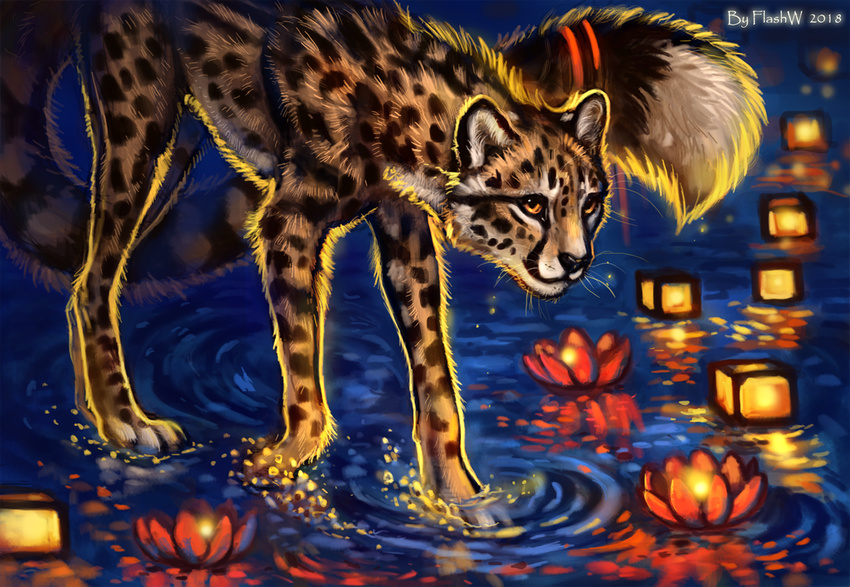 2018 black_nose cheetah digital_media_(artwork) feline feral flashw fur mammal orange_eyes paws solo spots spotted_fur standing water whiskers