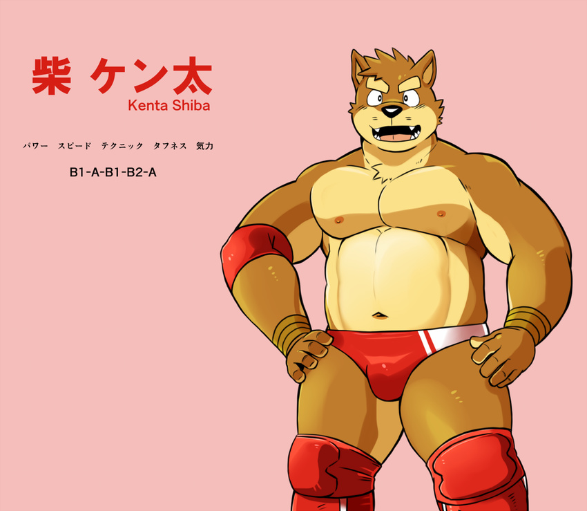 anthro big_muscles bulge canine character_name clothed clothing dog japanese_text kenta_shiba_(character) looking_at_viewer male mammal muscular muscular_male shiba-kenta shiba_inu solo text topless